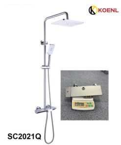 Sen cây Koenl SC 2021Q