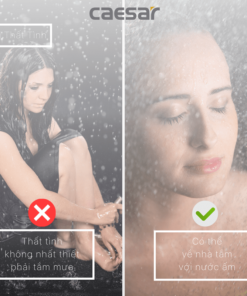 sen cây tắm đứng caesar s578c