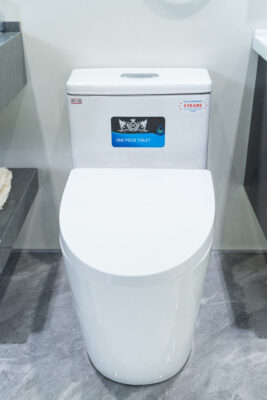 Bồn cầu liền khối VBT001